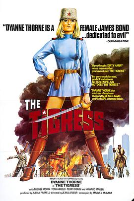 石家庄seo网络优化的公司